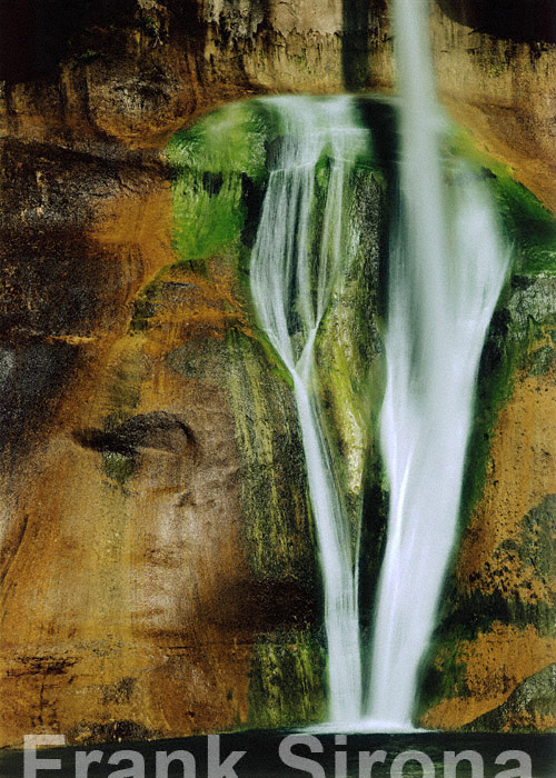 Maidenhair Falls Calf Creek © Frank Sirona
