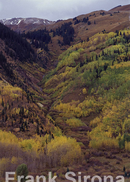 Shades of Green San Juan Mountains &copy; Frank Sirona