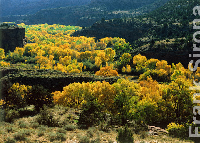 Golden Ribbon Escalante Canyon © Frank Sirona